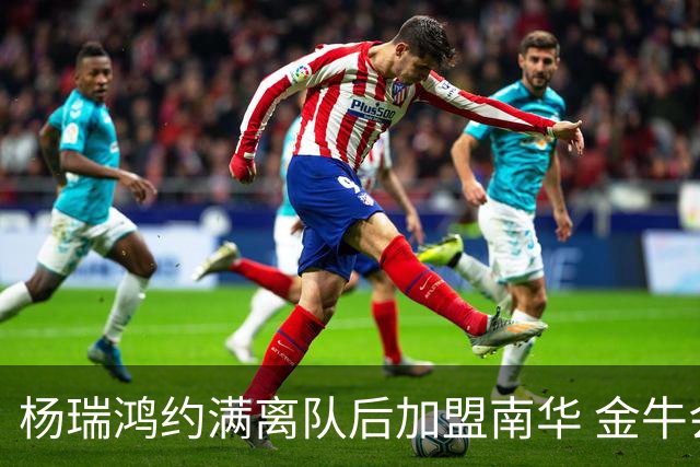杨瑞鸿约满离队后加盟南华 金牛会继续为他加油